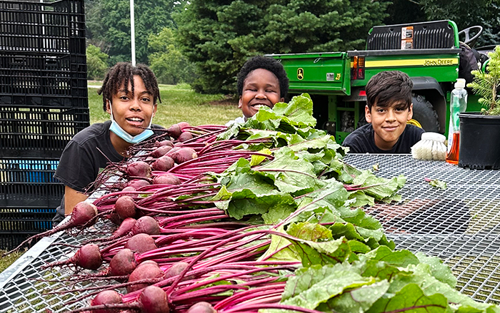 Three boys pose with a harvest of beets