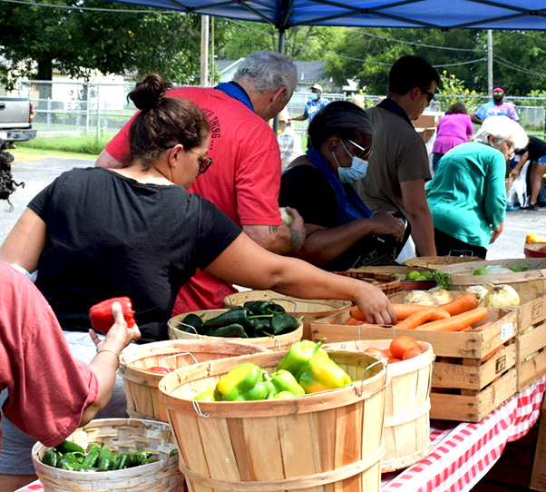 Community members choose fresh produce at a farmers market event